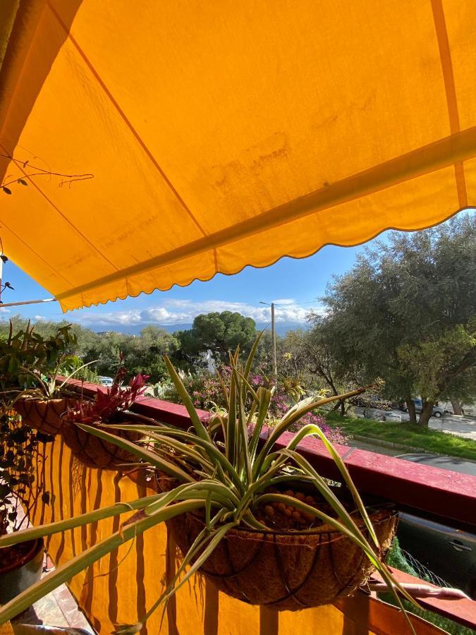 Rosie'S Club Hotel Ajaccio  Luaran gambar